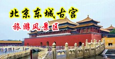 爆操扣逼揉阴蒂中国北京-东城古宫旅游风景区